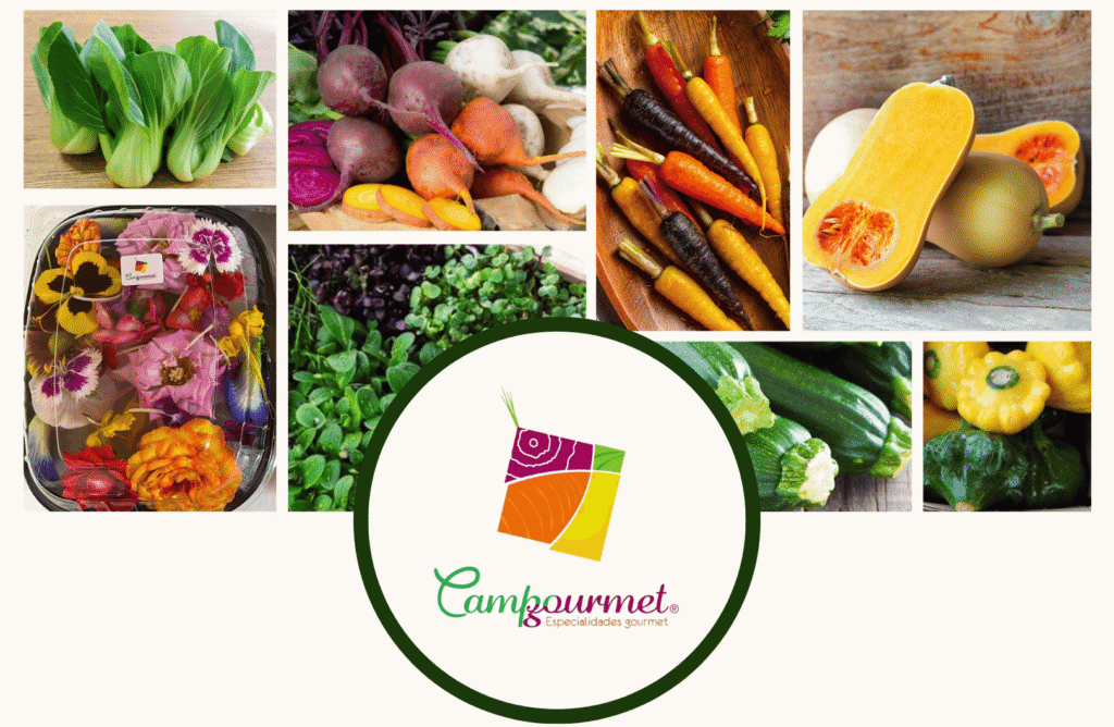 Vegetales baby, flores comestibles, calabaza